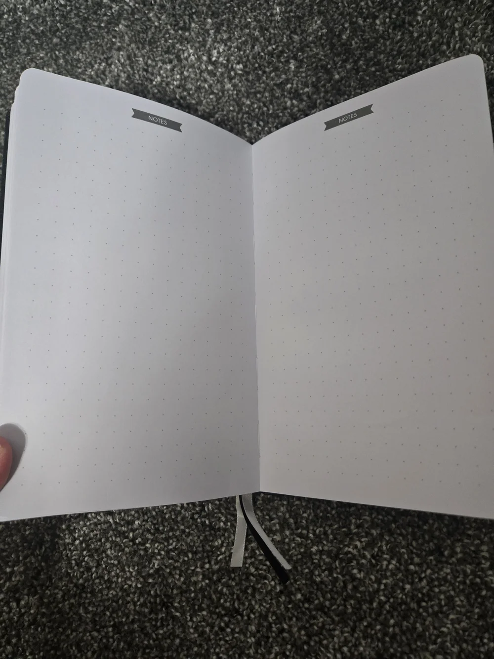 Blank Monthly And Daily Panda Planner Notebook